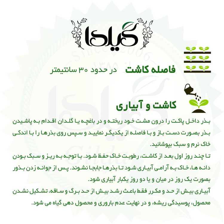 بذر گلرنگ گیلدا کد 175