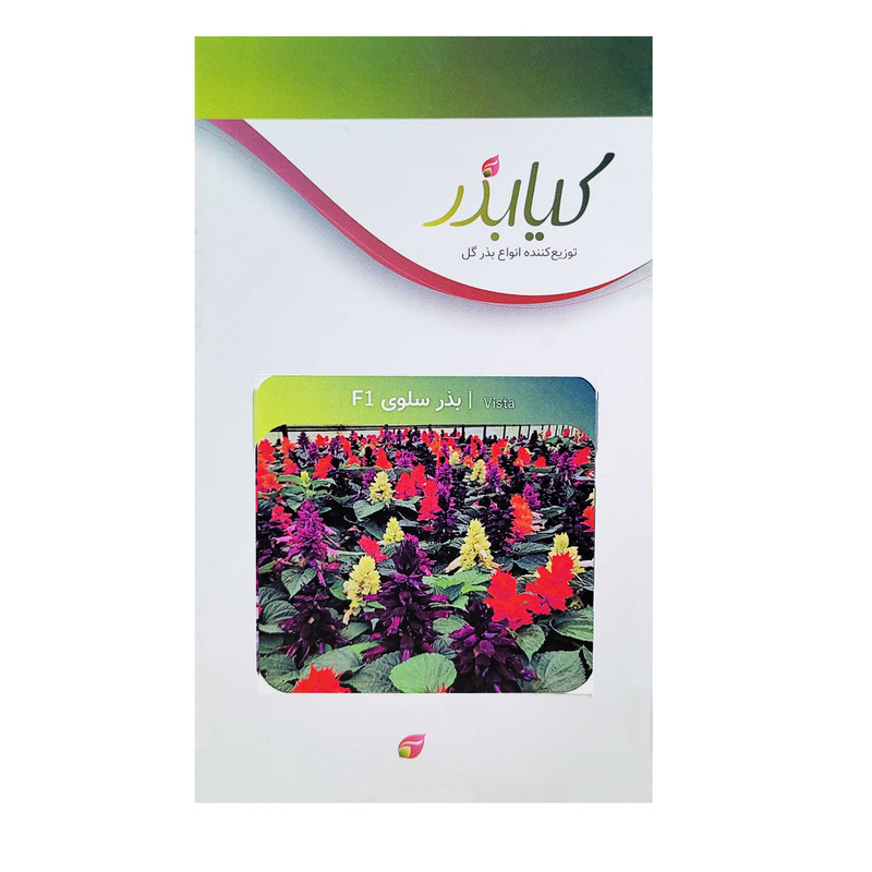 بذر گل سلوی F1 کیا بذر کد 016
