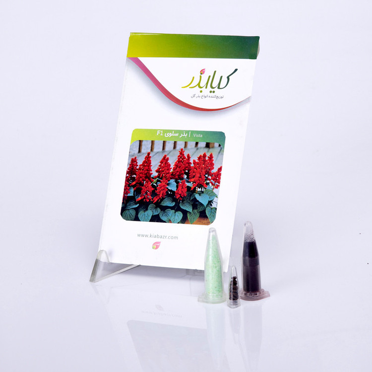 بذر گل سلوی F1 کیا بذر کد 016