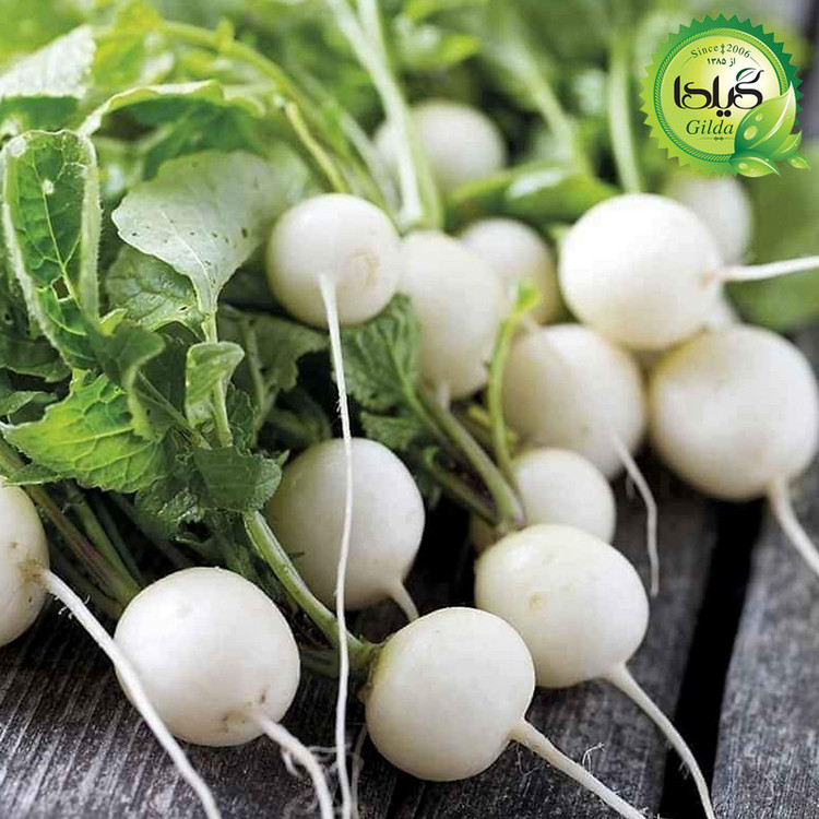 بذر ترپ سفید گرد گیلدا کد 211
