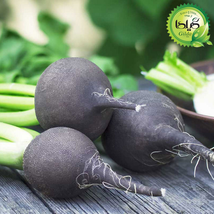 بذر ترپ سیاه گرد گیلدا کد 210