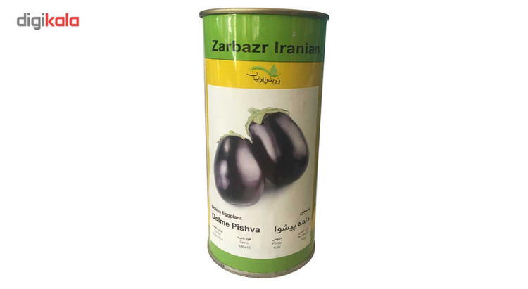 بذر بادمجان دلمه ای زر بذر ایرانیان قوطی 100 گرمی مدل GH100g-39