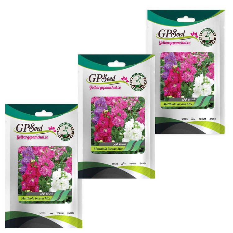 بذر گل شب بو الوان گلبرگ پامچال کد GPF-058 مجموعه 3 عددی