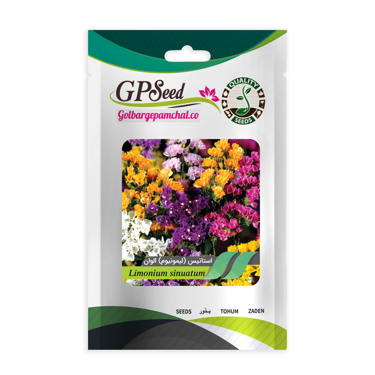بذر گل استاتیس لیمونیوم پابلند الوان گلبرگ پامچال کد GPF-014