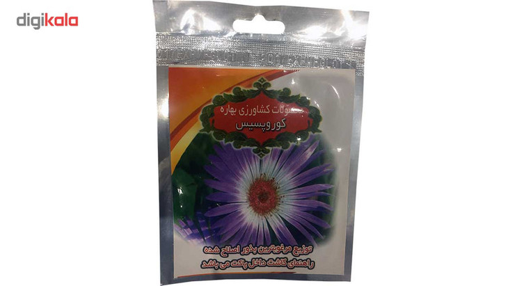 بذر گل کوروپسیس به کشت