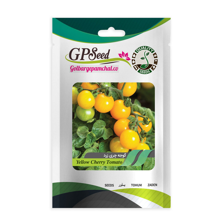 بذر گوجه چری گلدانی گلبرگ پامچال کد G-P-GP-06 مجموعه 6 عددی