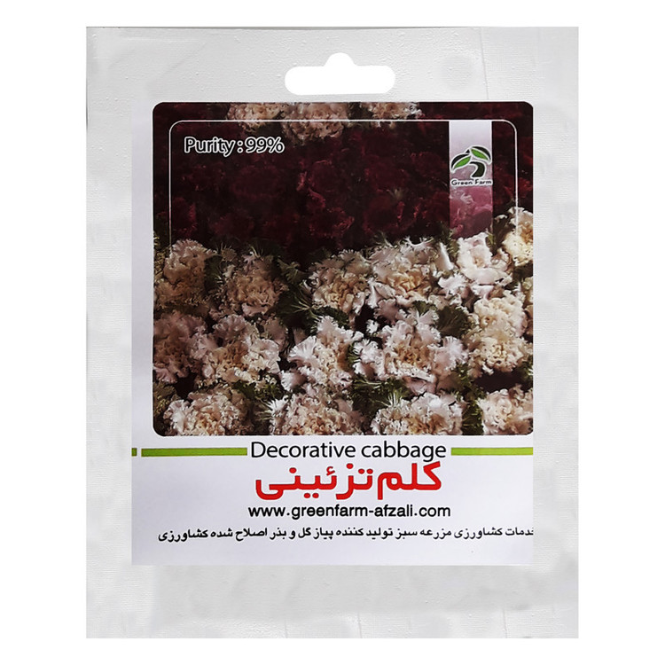 بذر کلم تزیینی گرین فارم کد LMN 1 بسته 2 عددی