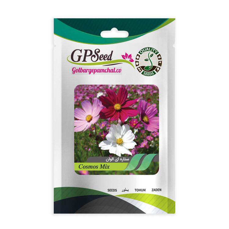 بذر گل ستاره ای رنگارنگ گلدانی گلبرگ پامچال کد G-P-GP-05 مجموعه 5 عددی