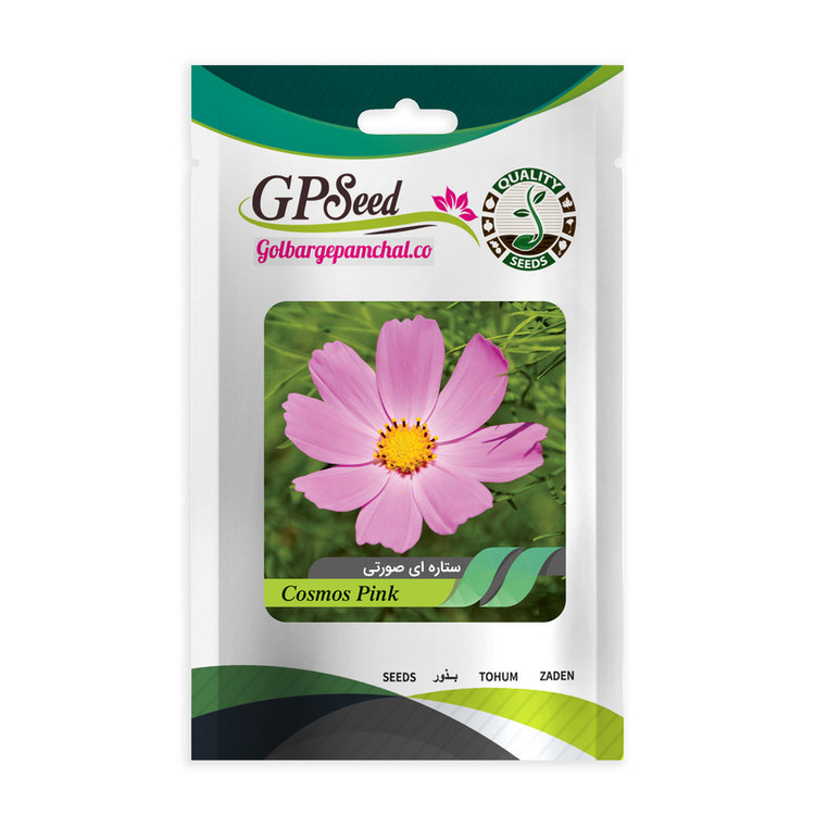 بذر گل ستاره ای رنگارنگ گلدانی گلبرگ پامچال کد G-P-GP-05 مجموعه 5 عددی