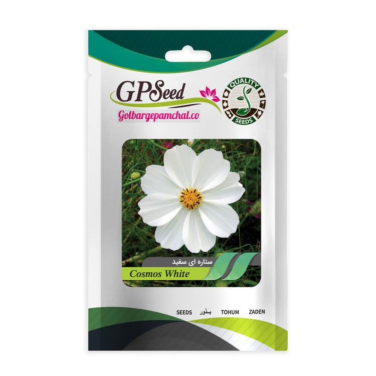 بذر گل ستاره ای رنگارنگ گلدانی گلبرگ پامچال کد G-P-GP-05 مجموعه 5 عددی