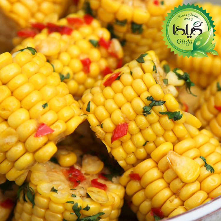 بذر ذرت شیرین گیلدا کد 271