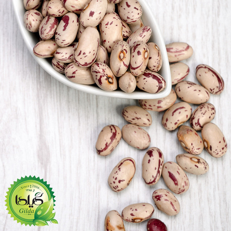 بذر لوبیا چیتی گیلدا کد 253