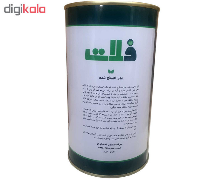 بذر کاهو پیچ فلات مدل سیاهو کد KFS-500g