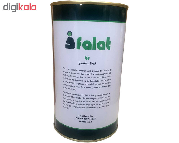 بذر کاهو پیچ فلات مدل سیاهو کد KFS-500g
