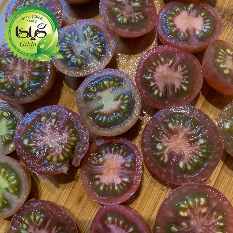 بذر گوجه چری شکلاتی گیلدا کد 579