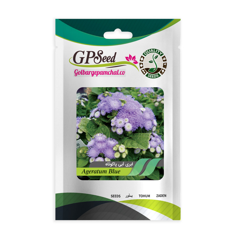 بذر گل ابری آبی پاکوتاه گلدانی گلبرگ پامچال کد GPF-290