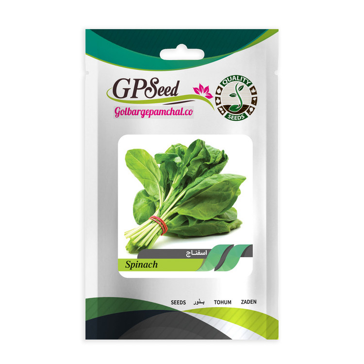بذر اسفناج گلبرگ پامچال کد GPF-139