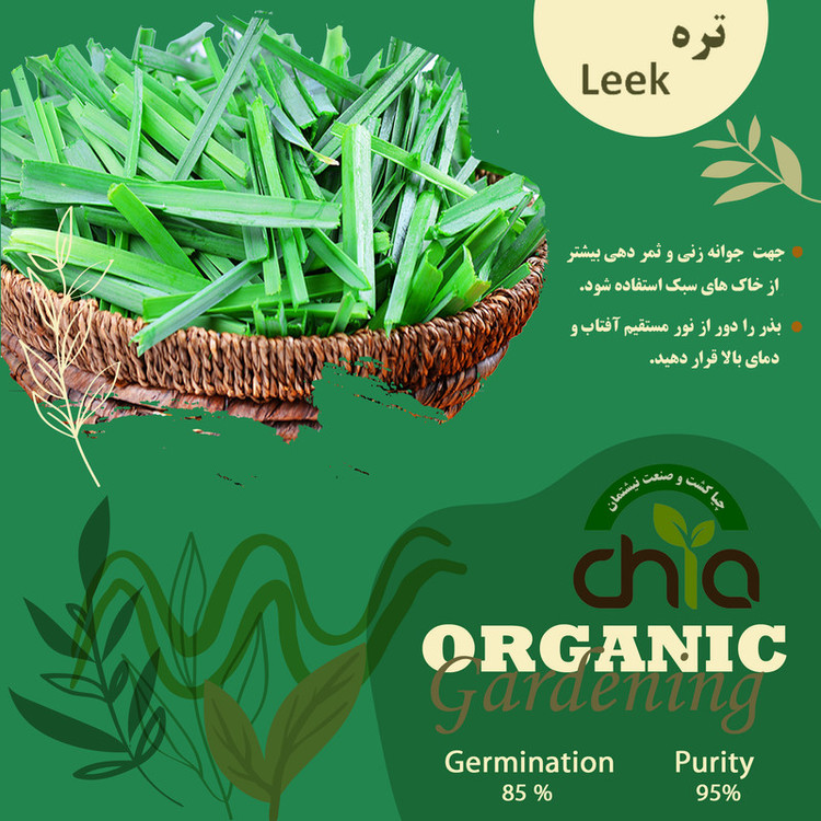 بذر تره چیا کد V10