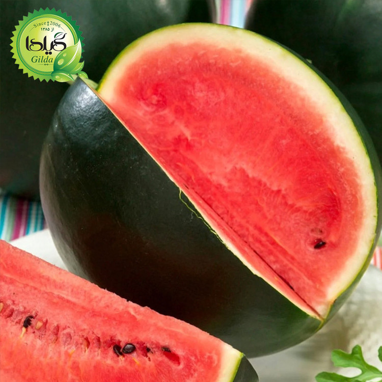 بذر هندوانه شوگر گیلدا کد 714