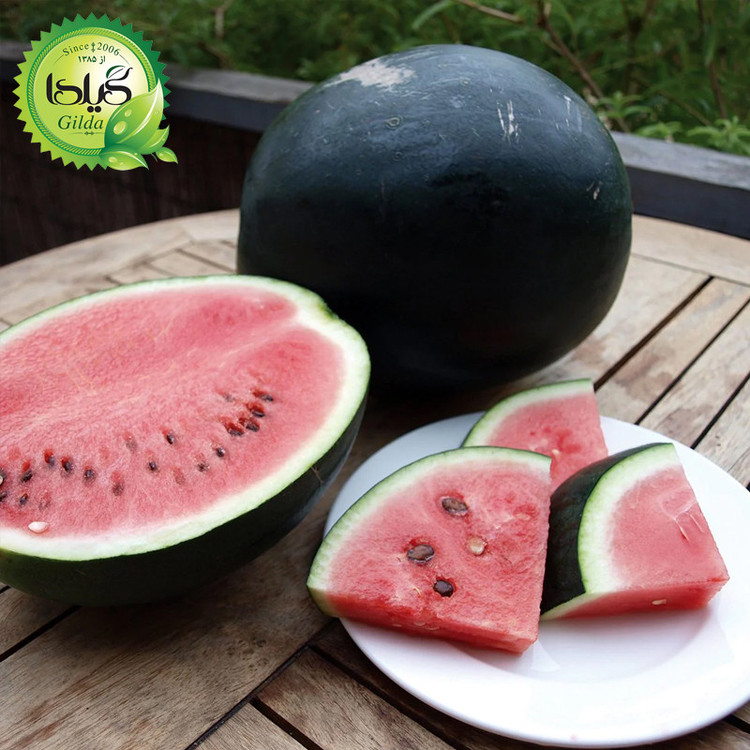 بذر هندوانه شوگر گیلدا کد 714