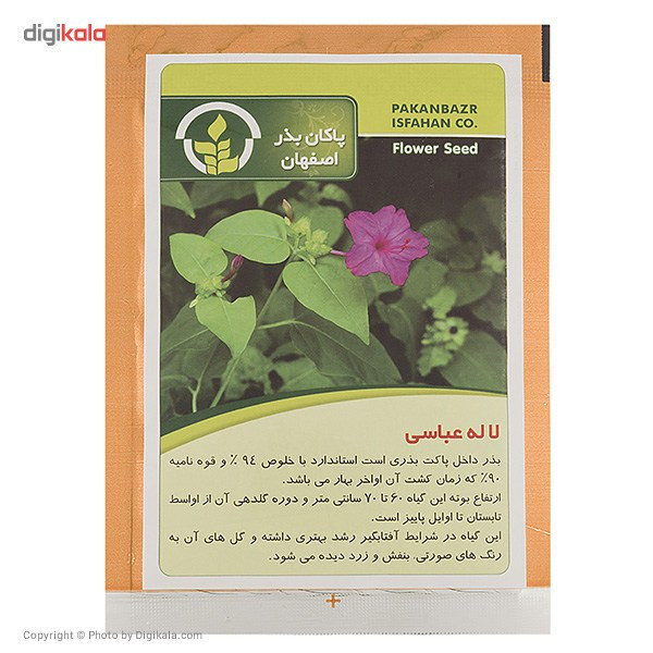بذر گل لاله عباسی پاکان بذر