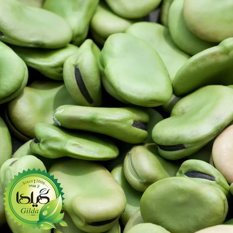 بذر باقالا گیلدا کد 265