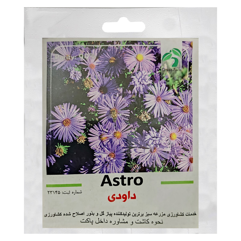 بذر گل داوودی گرین فارم کد GR-DA بسته 3 عددی