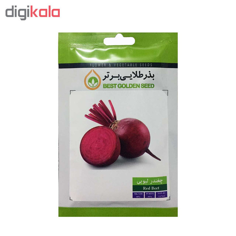 بذر چغندر لبویی بذر طلایی برتر کد BZT-52