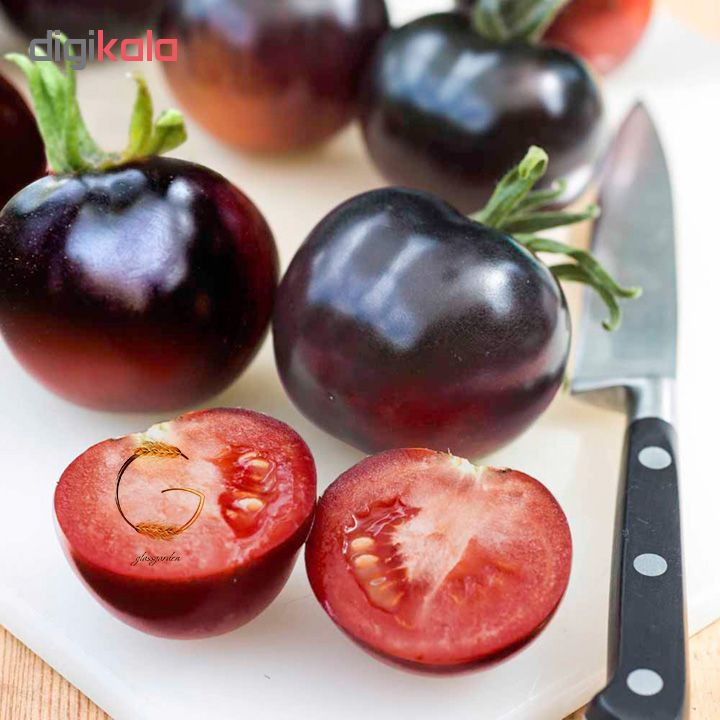 بذر گوجه چری مشکی کد 001