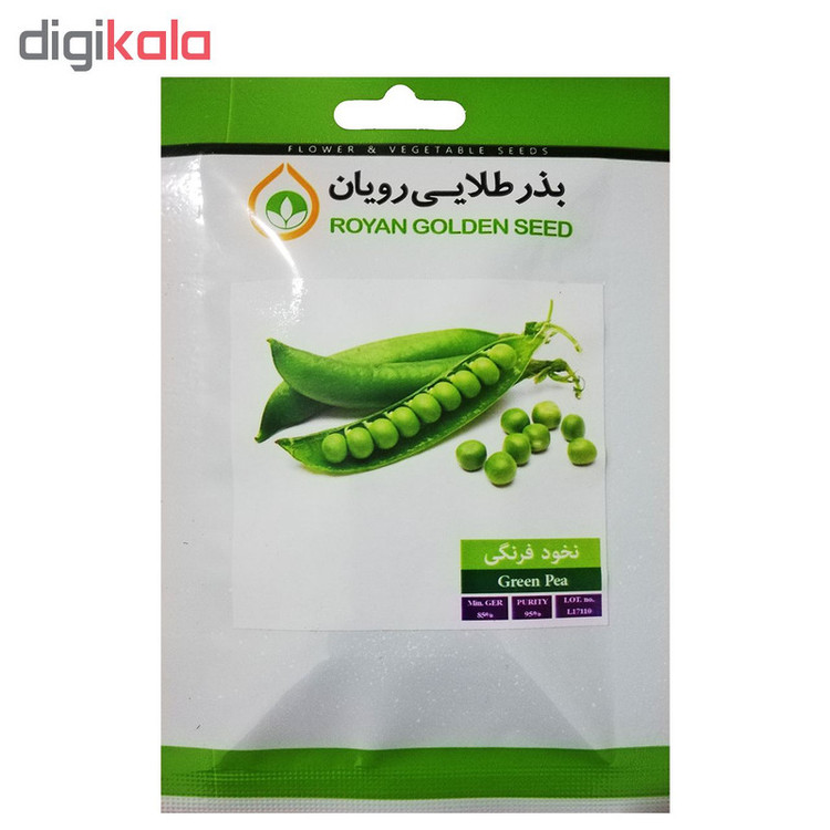 بذر نخود فرنگی بذر طلایی رویان کد BZT-113