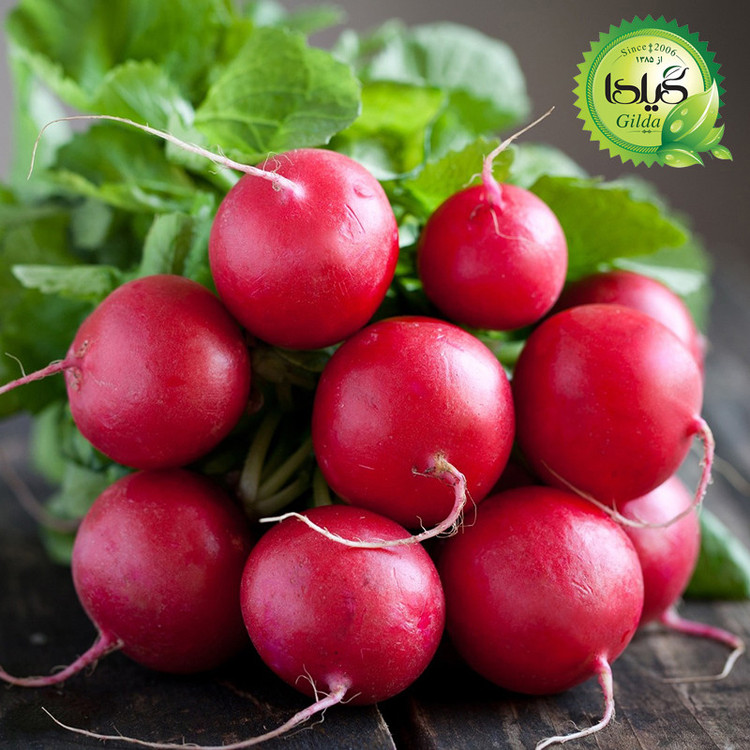 بذر ترپچه چری بل گیلدا کد 215
