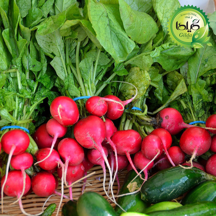بذر ترپچه چری بل گیلدا کد 215