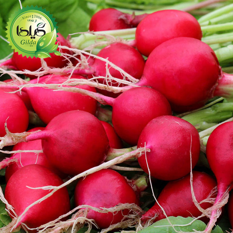 بذر ترپچه چری بل گیلدا کد 215