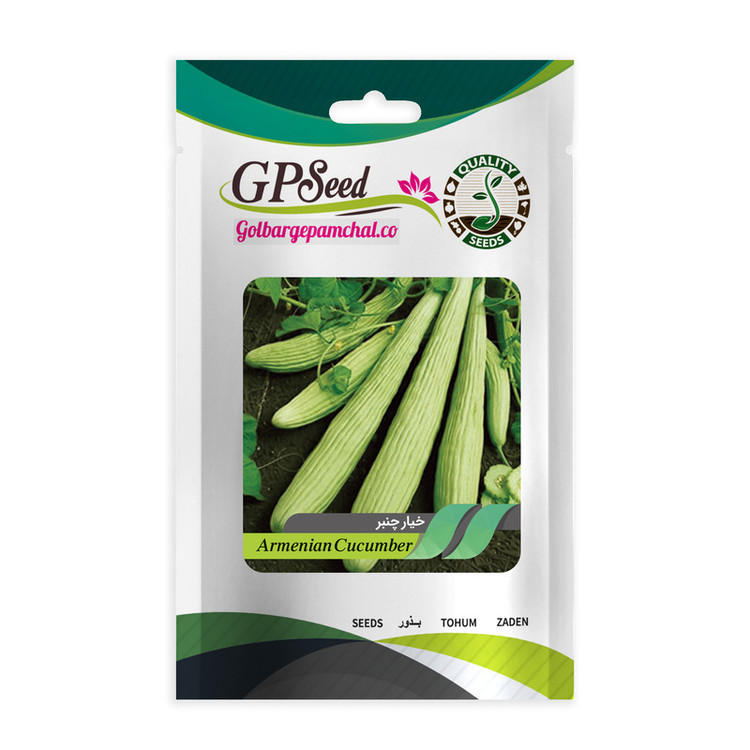 بذر صیفی جات خیار و گوجه گلبرگ پامچال کد G-P-GP-03 مجموعه 3 عددی