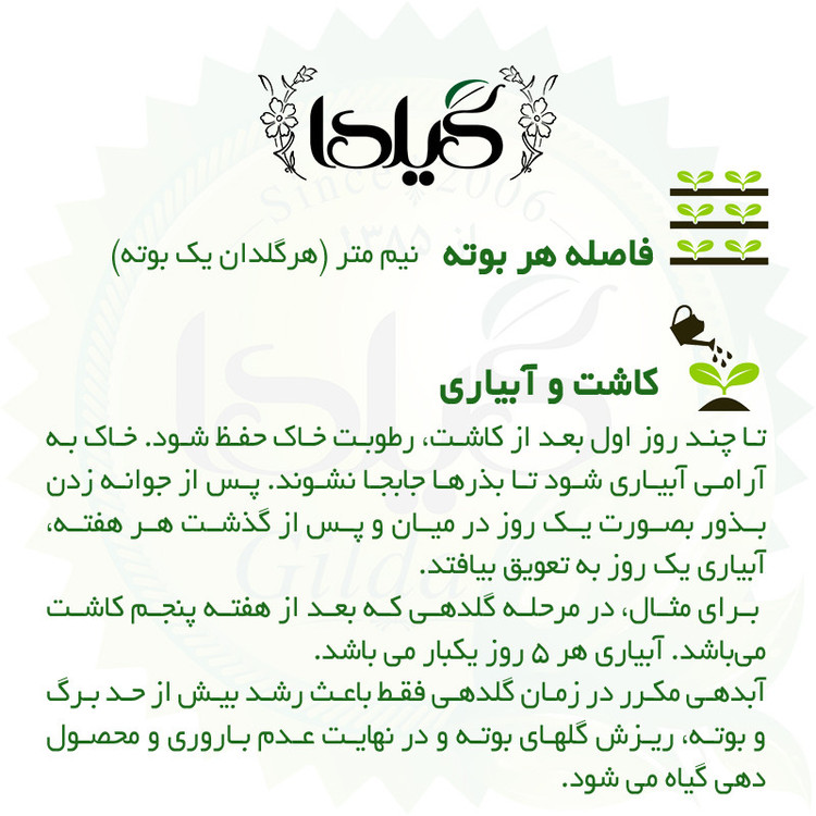 بذر کدو آجیلی مشهدی گیلدا کد 776