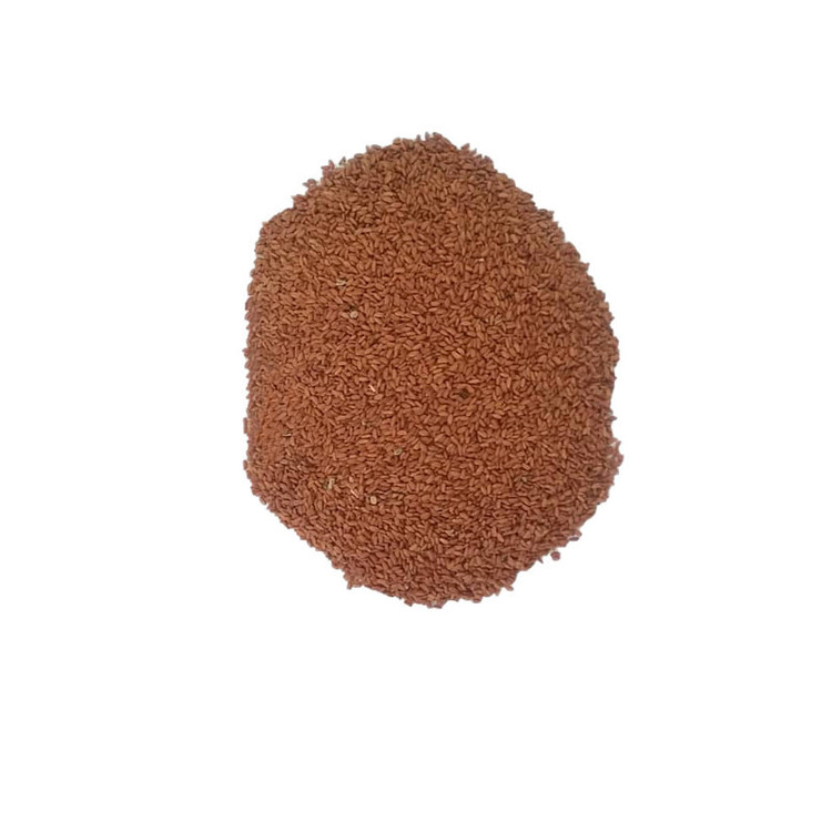 بذر شاهی کد SH50
