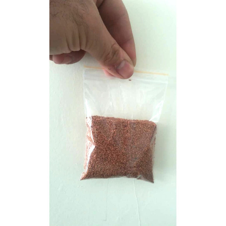 بذر شاهی کد SH50