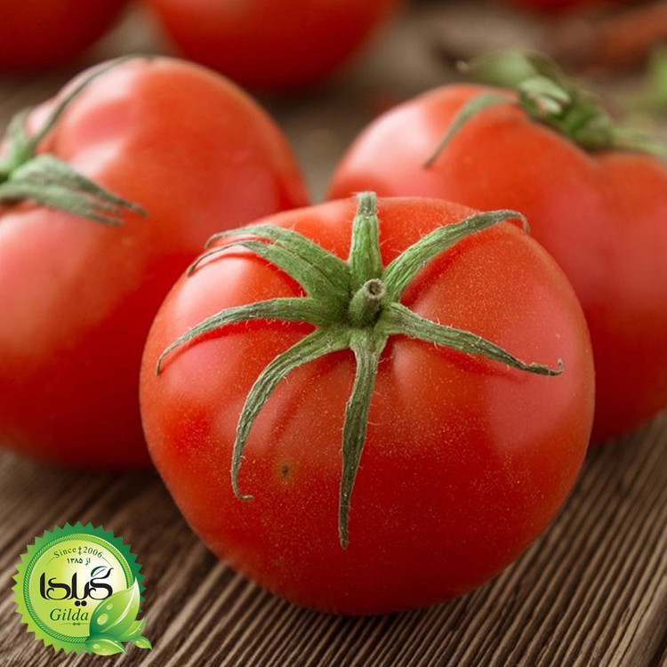 بذر گوجه گرد آریا گیلدا کد 551