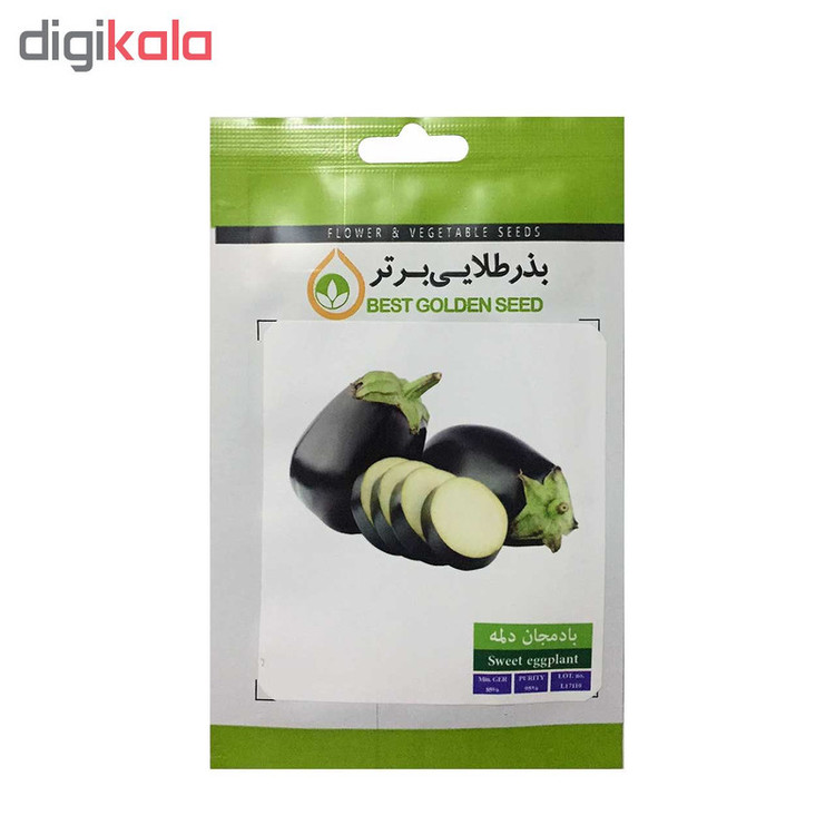 بذر بادمجان دلمه بذر طلایی برتر کد BZT-46