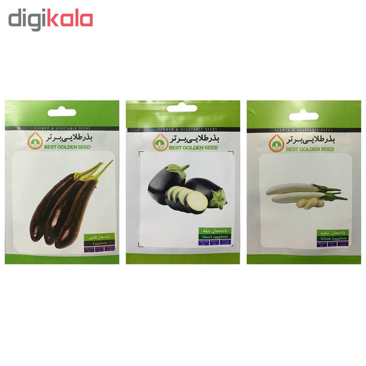 بذر بادمجان بذر طلایی برتر کد P-B-BZT-03 مجموعه 3 عددی