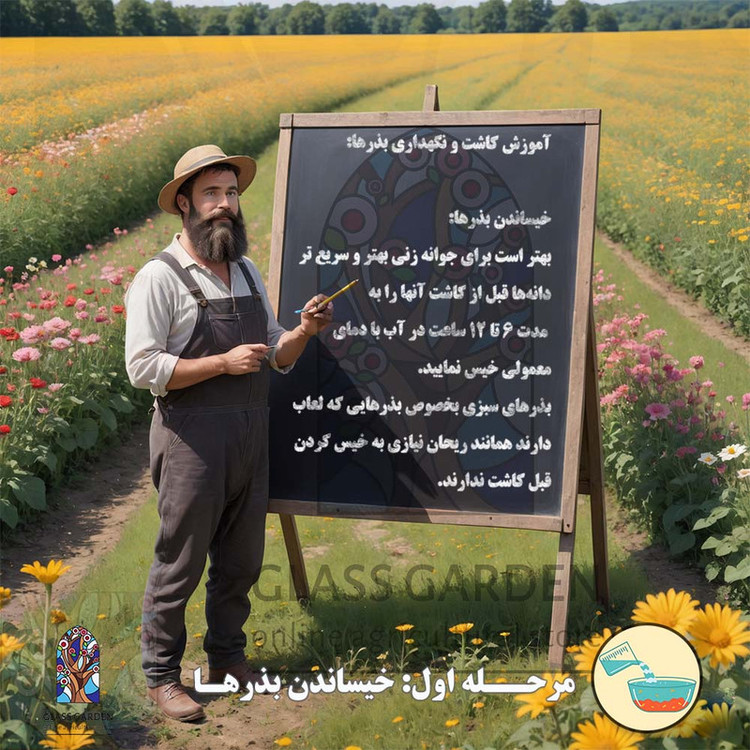بذر فلفل گیلاسی چری گرد قرمز تند گلس گاردن مدل GL100