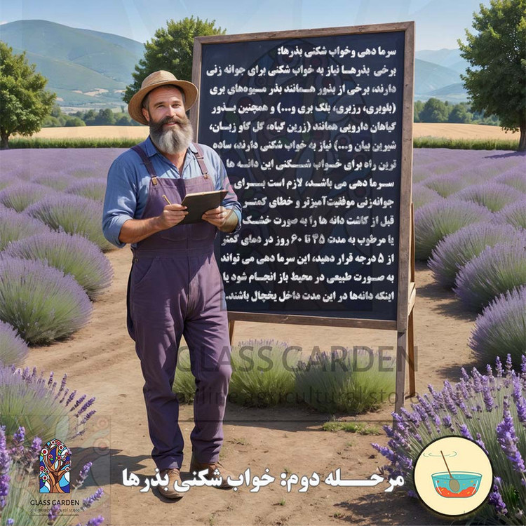 بذر فلفل گیلاسی چری گرد قرمز تند گلس گاردن مدل GL100