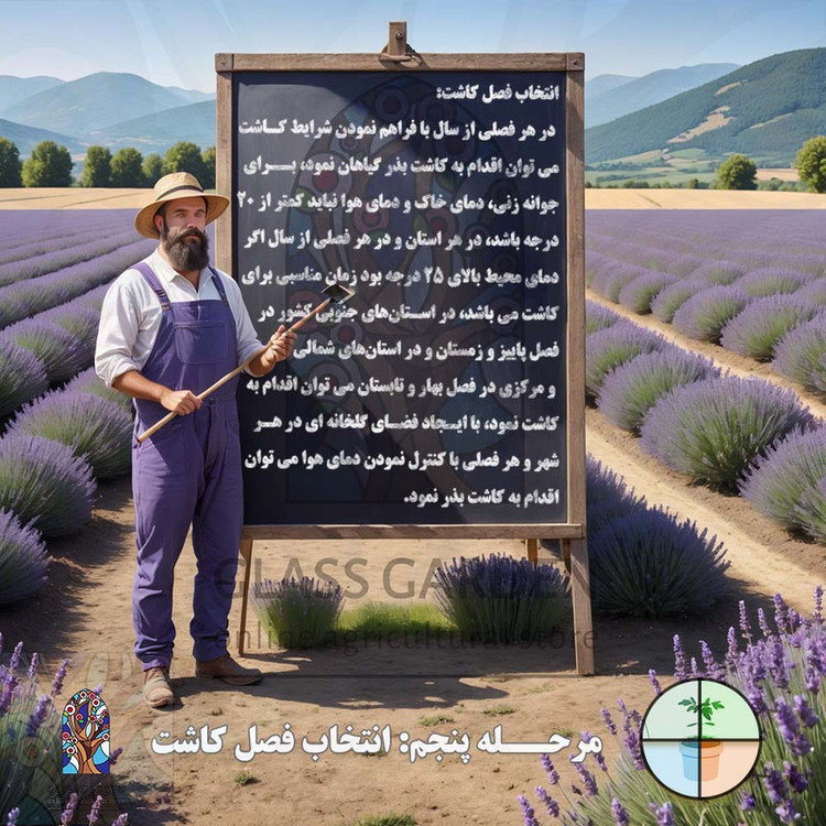 بذر فلفل گیلاسی چری گرد قرمز تند گلس گاردن مدل GL100