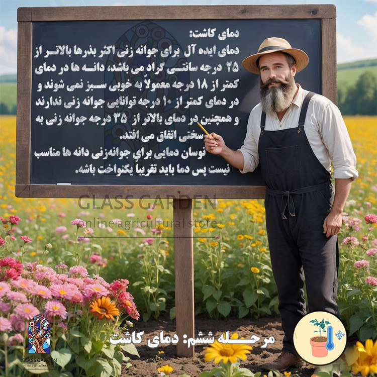 بذر فلفل گیلاسی چری گرد قرمز تند گلس گاردن مدل GL100