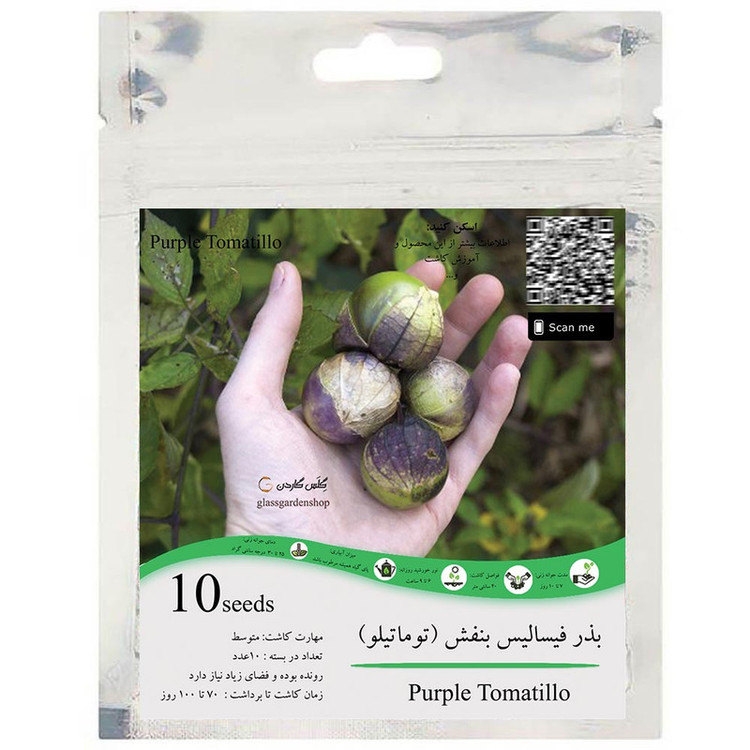 بذر فیسالیس بنفش توماتیلو گلس گاردن مدل GL10