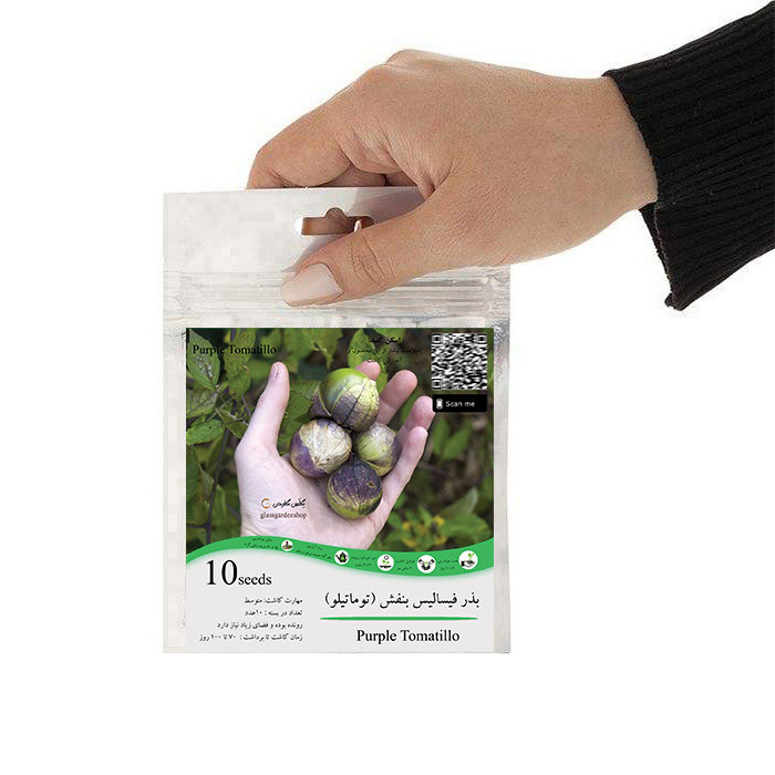 بذر فیسالیس بنفش توماتیلو گلس گاردن مدل GL10