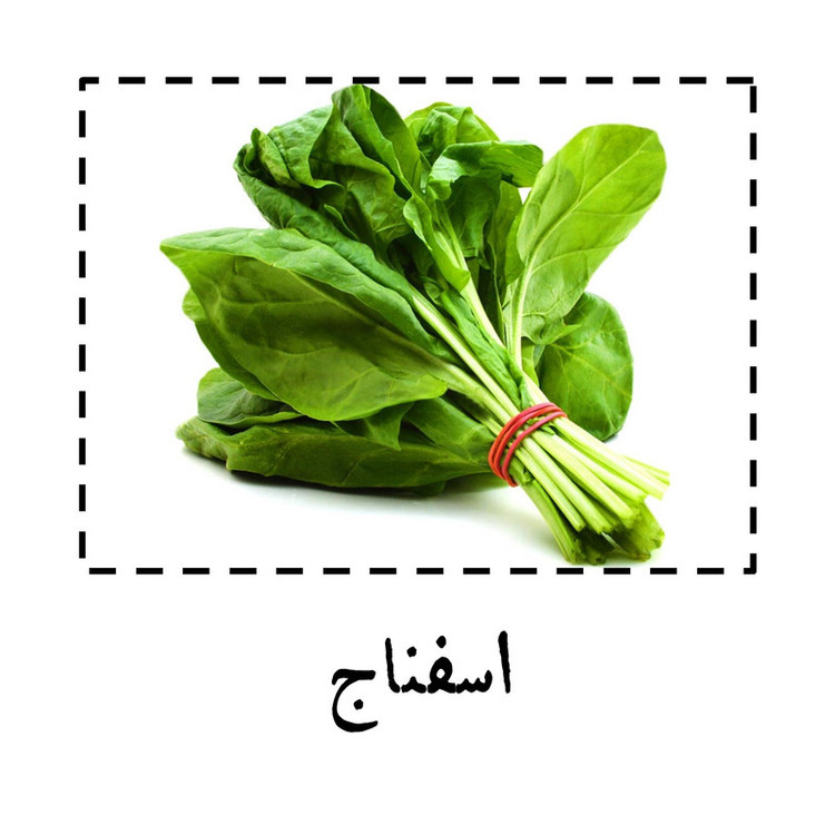 بذر اسفناج گرین سیدز کد 222