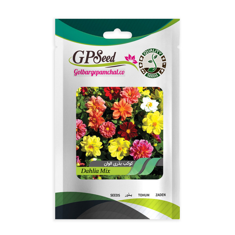 بذر گل کوکب بذری الوان جی پی سید مدل GP28138