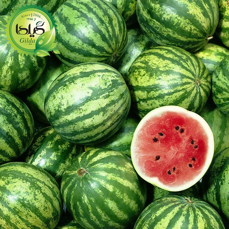 بذر هندوانه گیلدا کد 710