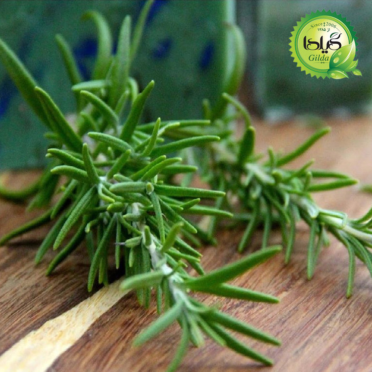 بذر مرزه گیلدا کد 120
